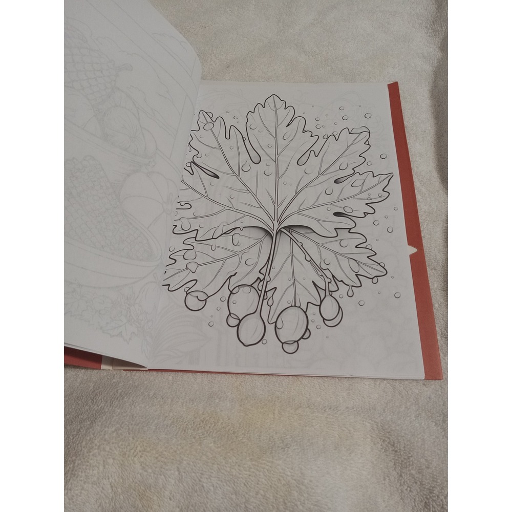 Fall/Thanksgiving Coloring Books - Picture 13 of 14
